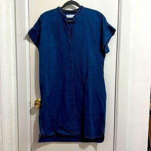 Everlane Splitneck Jean denim Dress 6